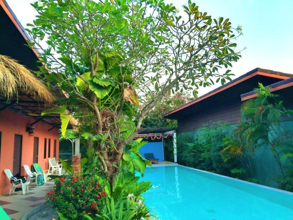 ซิกซ์แพ็ค คอตเทจ Hostel ฉลอง ภายนอก รูปภาพ
